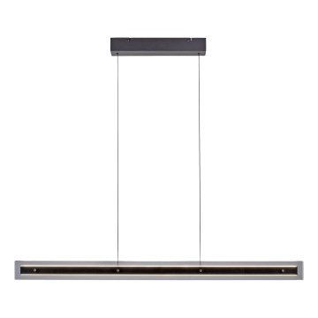 Schöner Wohnen 11316-18 - Lampada a sospensione dimmerabile su cavo LENA LED/32W/230V 105 cm nera