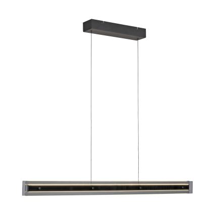 Schöner Wohnen 11316-18 - Lampada a sospensione dimmerabile su cavo LENA LED/32W/230V 105 cm nera