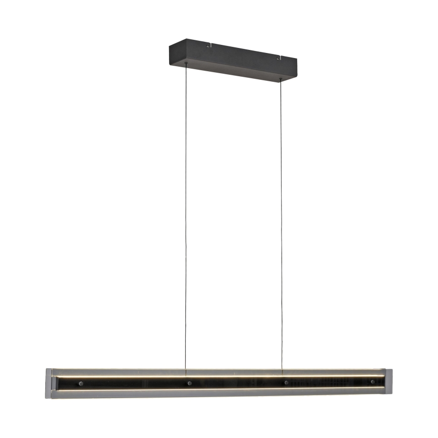 Schöner Wohnen 11316-18 - Lampada a sospensione dimmerabile su cavo LENA LED/32W/230V 105 cm nera