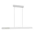 Schöner Wohnen 12577-16 - Lampadario dimmerabile a sospensione con cavo ADRIANA ROUND 2xLED/24W/230V 2700/3000/3500/4000/5000K bianco