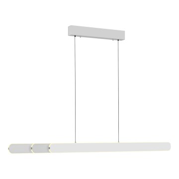 Schöner Wohnen 12577-16 - Lampadario dimmerabile a sospensione con cavo ADRIANA ROUND 2xLED/24W/230V 2700/3000/3500/4000/5000K bianco