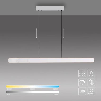 Schöner Wohnen 12577-16 - Lampadario dimmerabile a sospensione con cavo ADRIANA ROUND 2xLED/24W/230V 2700/3000/3500/4000/5000K bianco