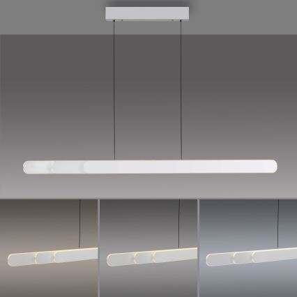 Schöner Wohnen 12577-16 - Lampadario dimmerabile a sospensione con cavo ADRIANA ROUND 2xLED/24W/230V 2700/3000/3500/4000/5000K bianco