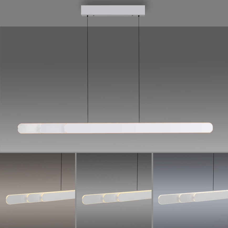 Schöner Wohnen 12577-16 - Lampadario dimmerabile a sospensione con cavo ADRIANA ROUND 2xLED/24W/230V 2700/3000/3500/4000/5000K bianco
