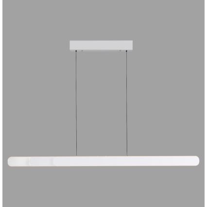 Schöner Wohnen 12577-16 - Lampadario dimmerabile a sospensione con cavo ADRIANA ROUND 2xLED/24W/230V 2700/3000/3500/4000/5000K bianco