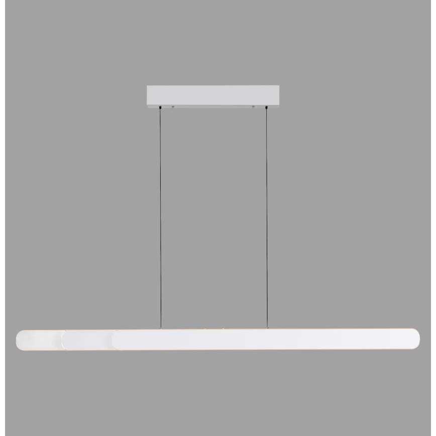 Schöner Wohnen 12577-16 - Lampadario dimmerabile a sospensione con cavo ADRIANA ROUND 2xLED/24W/230V 2700/3000/3500/4000/5000K bianco