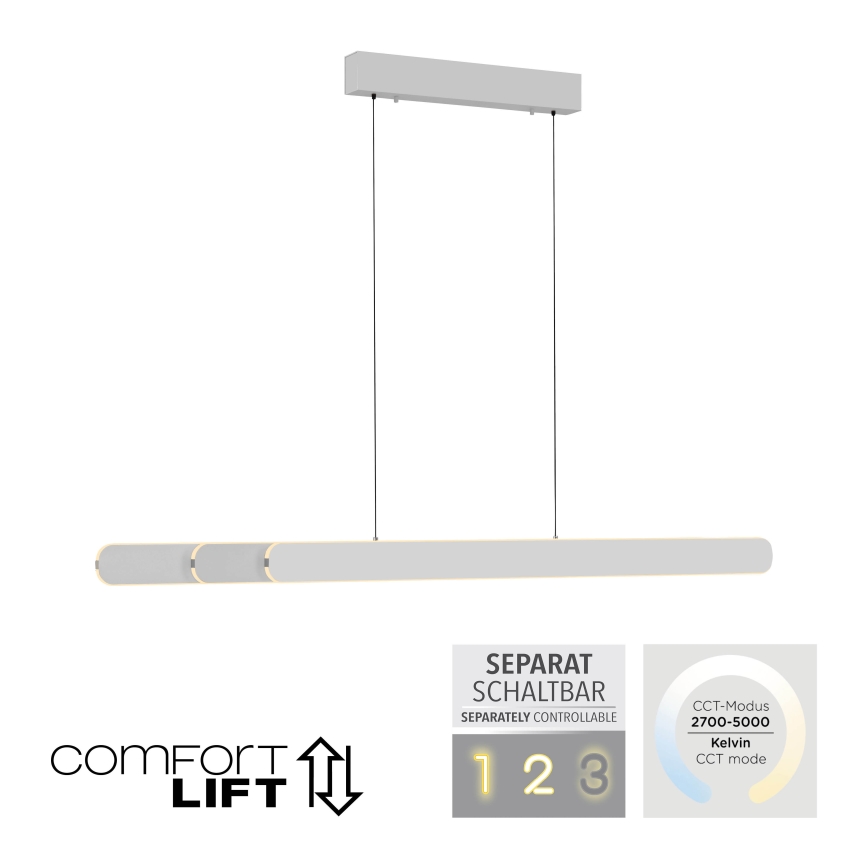 Schöner Wohnen 12577-16 - Lampadario dimmerabile a sospensione con cavo ADRIANA ROUND 2xLED/24W/230V 2700/3000/3500/4000/5000K bianco