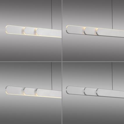 Schöner Wohnen 12577-16 - Lampadario dimmerabile a sospensione con cavo ADRIANA ROUND 2xLED/24W/230V 2700/3000/3500/4000/5000K bianco