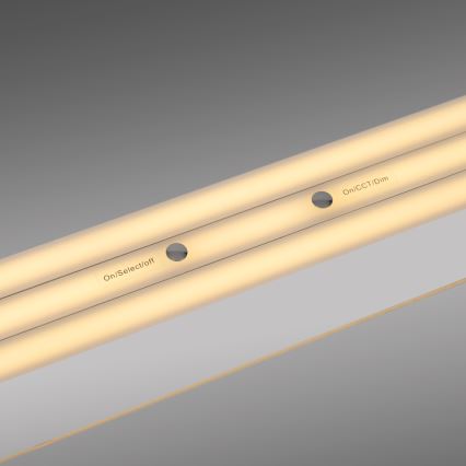 Schöner Wohnen 12577-16 - Lampadario dimmerabile a sospensione con cavo ADRIANA ROUND 2xLED/24W/230V 2700/3000/3500/4000/5000K bianco