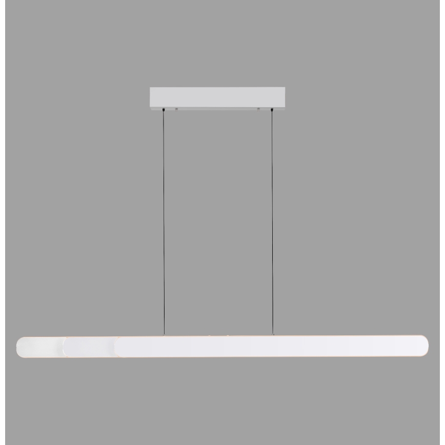 Schöner Wohnen 12577-16 - Sospensione LED dimmerabile su cavo ADRIANA ROUND 2xLED/24W/230V 2700/3000/3500/4000/5000K 160 cm bianca