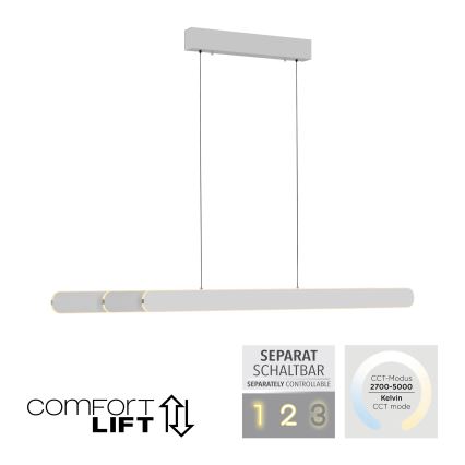 Schöner Wohnen 12577-16 - Sospensione LED dimmerabile su cavo ADRIANA ROUND 2xLED/24W/230V 2700/3000/3500/4000/5000K 160 cm bianca