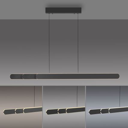 Schöner Wohnen 12577-18 - Lampadario a sospensione dimmerabile ADRIANA ROUND 2xLED/24W/230V 2700/3000/3500/4000/5000K nero