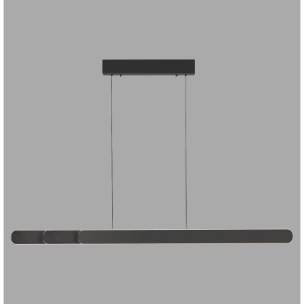 Schöner Wohnen 12577-18 - Lampadario a sospensione dimmerabile ADRIANA ROUND 2xLED/24W/230V 2700/3000/3500/4000/5000K nero