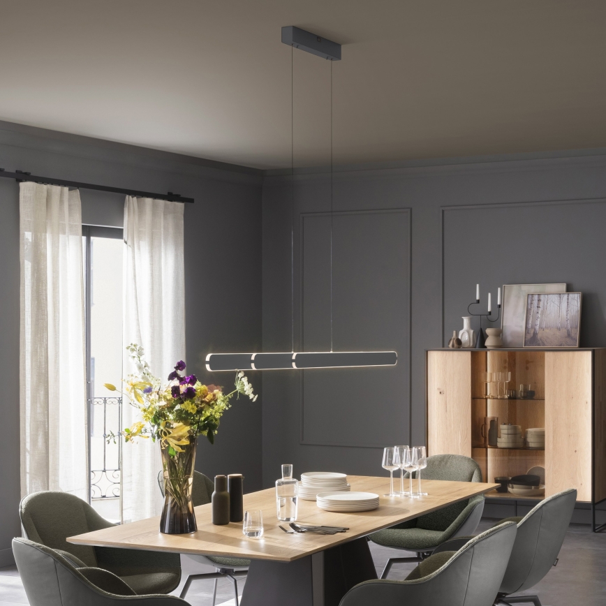 Schöner Wohnen 12577-18 - Lampadario LED dimmerabile a sospensione con cavo ADRIANA ROUND 2xLED/24W/230V 2700/3000/3500/4000/5000K 160 cm nero