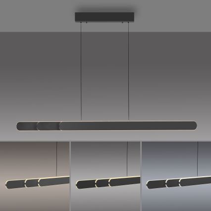 Schöner Wohnen 12577-18 - Lampadario LED dimmerabile a sospensione con cavo ADRIANA ROUND 2xLED/24W/230V 2700/3000/3500/4000/5000K 160 cm nero