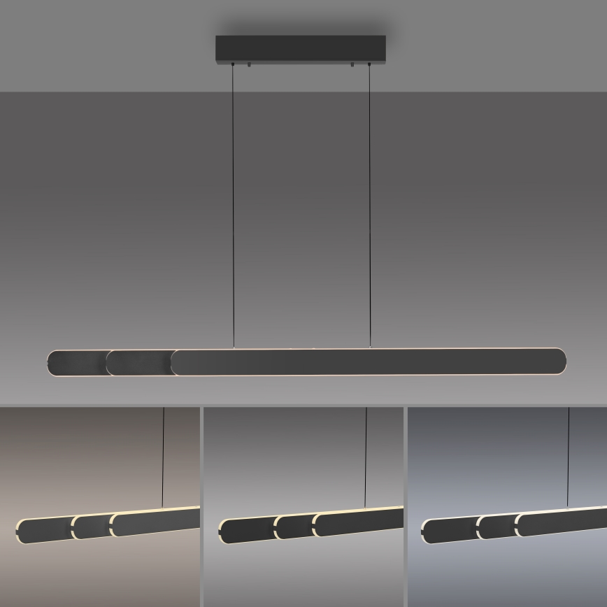 Schöner Wohnen 12577-18 - Lampadario LED dimmerabile a sospensione con cavo ADRIANA ROUND 2xLED/24W/230V 2700/3000/3500/4000/5000K 160 cm nero