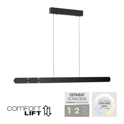 Schöner Wohnen 12577-18 - Lampadario LED dimmerabile a sospensione con cavo ADRIANA ROUND 2xLED/24W/230V 2700/3000/3500/4000/5000K 160 cm nero