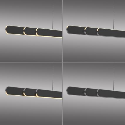 Schöner Wohnen 12577-18 - Lampadario LED dimmerabile a sospensione con cavo ADRIANA ROUND 2xLED/24W/230V 2700/3000/3500/4000/5000K 160 cm nero