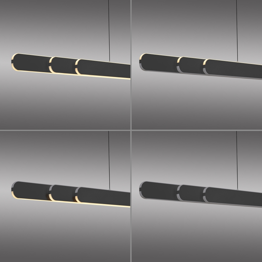 Schöner Wohnen 12577-18 - Lampadario LED dimmerabile a sospensione con cavo ADRIANA ROUND 2xLED/24W/230V 2700/3000/3500/4000/5000K 160 cm nero