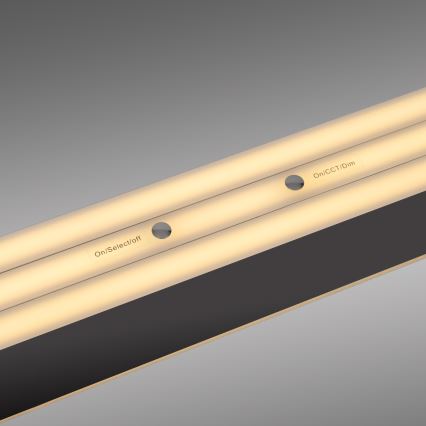 Schöner Wohnen 12577-18 - Lampadario LED dimmerabile a sospensione con cavo ADRIANA ROUND 2xLED/24W/230V 2700/3000/3500/4000/5000K 160 cm nero