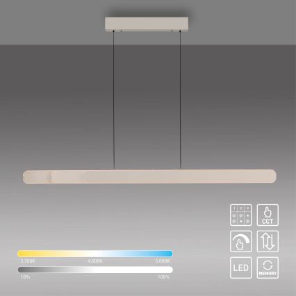 Schöner Wohnen 12577-39 - Lampada a sospensione LED dimmerabile su cavo ADRIANA ROUND 2xLED/24W/230V 2700/3000/3500/4000/5000K 160 cm grigio