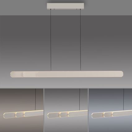 Schöner Wohnen 12577-39 - Lampada a sospensione LED dimmerabile su cavo ADRIANA ROUND 2xLED/24W/230V 2700/3000/3500/4000/5000K 160 cm grigio