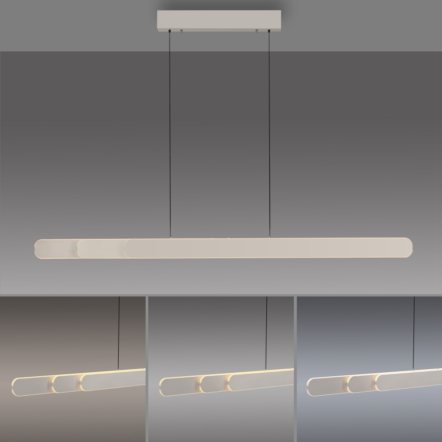 Schöner Wohnen 12577-39 - Lampada a sospensione LED dimmerabile su cavo ADRIANA ROUND 2xLED/24W/230V 2700/3000/3500/4000/5000K 160 cm grigio