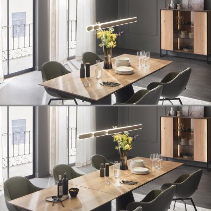 Schöner Wohnen 12577-39 - Sospensione dimmerabile su cavo ADRIANA ROUND 2xLED/24W/230V 2700/3000/3500/4000/5000K grigio