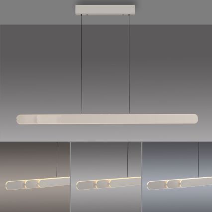 Schöner Wohnen 12577-39 - Sospensione dimmerabile su cavo ADRIANA ROUND 2xLED/24W/230V 2700/3000/3500/4000/5000K grigio