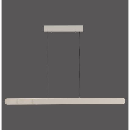 Schöner Wohnen 12577-39 - Sospensione dimmerabile su cavo ADRIANA ROUND 2xLED/24W/230V 2700/3000/3500/4000/5000K grigio