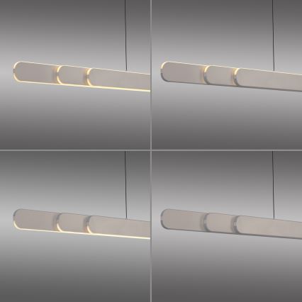 Schöner Wohnen 12577-39 - Sospensione dimmerabile su cavo ADRIANA ROUND 2xLED/24W/230V 2700/3000/3500/4000/5000K grigio