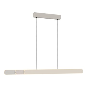 Schöner Wohnen 12577-39 - Sospensione dimmerabile su cavo ADRIANA ROUND 2xLED/24W/230V 2700/3000/3500/4000/5000K grigio