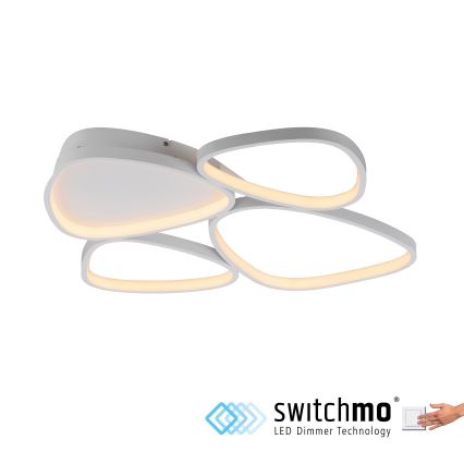 Schöner Wohnen 14038-16 - Plafoniera a LED dimmerabile PEBBLES LED/35,5W/230V bianca