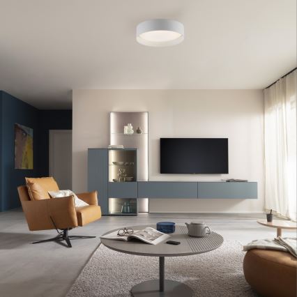 Schöner Wohnen 14593-16 - Plafoniera dimmerabile a LED TAVOLI LED/10W/230V 2700-6500K Ø 28,5 cm, bianca + telecomando