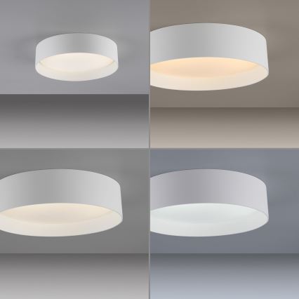 Schöner Wohnen 14593-16 - Plafoniera dimmerabile a LED TAVOLI LED/10W/230V 2700-6500K Ø 28,5 cm, bianca + telecomando