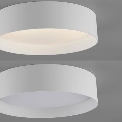 Schöner Wohnen 14593-16 - Plafoniera dimmerabile a LED TAVOLI LED/10W/230V 2700-6500K Ø 28,5 cm, bianca + telecomando