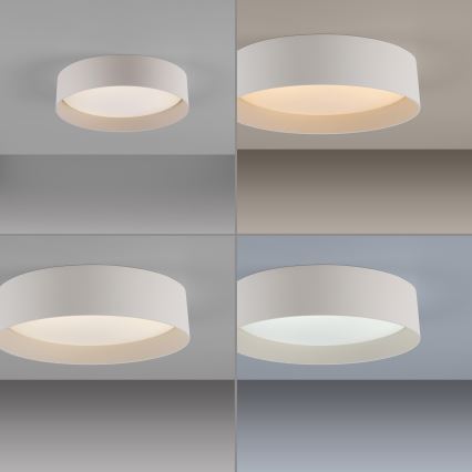 Schöner Wohnen 14593-39 - Plafoniera LED dimmerabile TAVOLI LED/10W/230V 2700-6500K Ø 28,5 cm grigio + telecomando