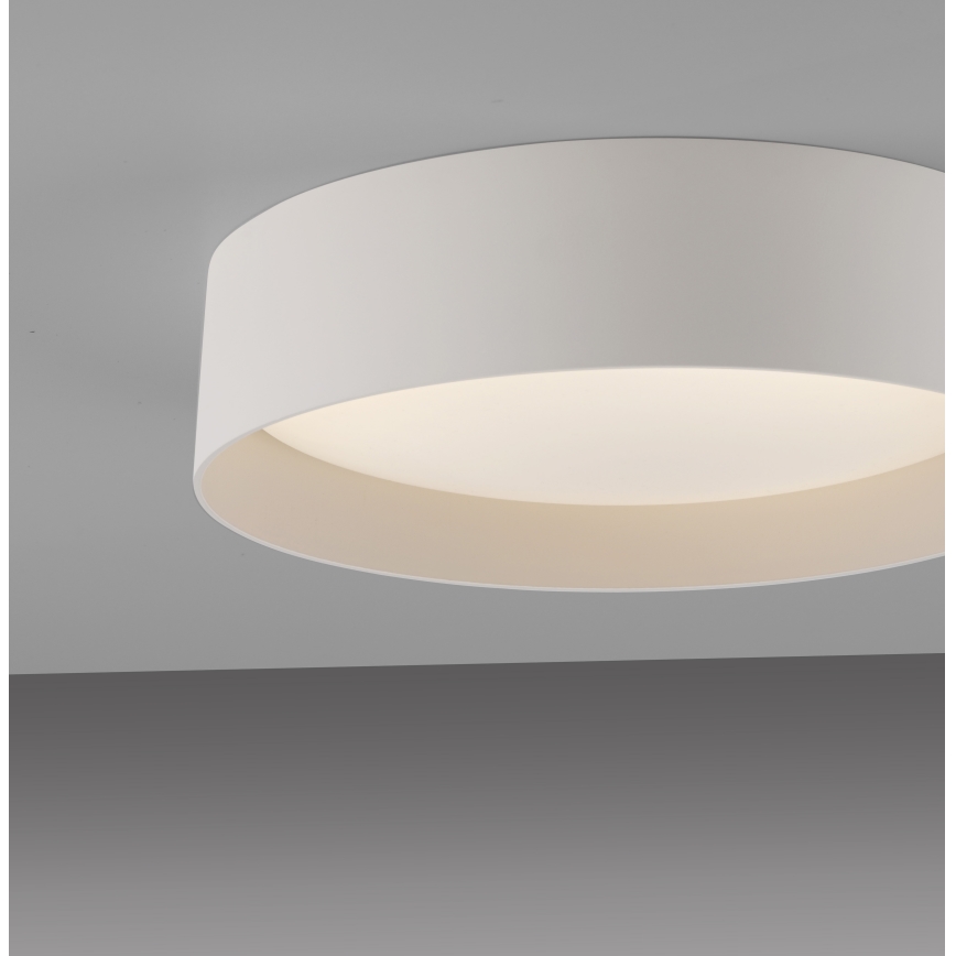 Schöner Wohnen 14593-39 - Plafoniera LED dimmerabile TAVOLI LED/10W/230V 2700-6500K Ø 28,5 cm grigio + telecomando