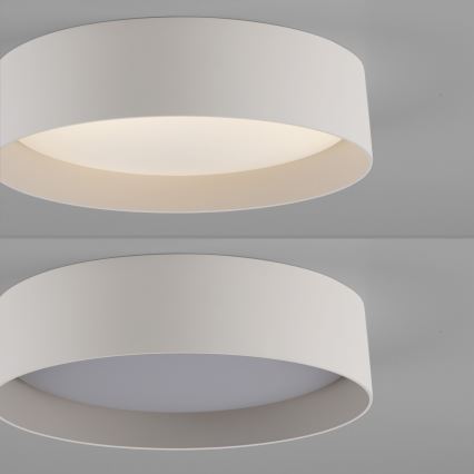 Schöner Wohnen 14593-39 - Plafoniera LED dimmerabile TAVOLI LED/10W/230V 2700-6500K Ø 28,5 cm grigio + telecomando