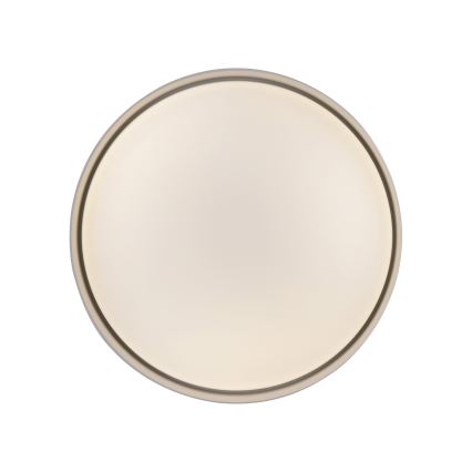 Schöner Wohnen 14593-39 - Plafoniera LED dimmerabile TAVOLI LED/10W/230V 2700-6500K Ø 28,5 cm grigio + telecomando