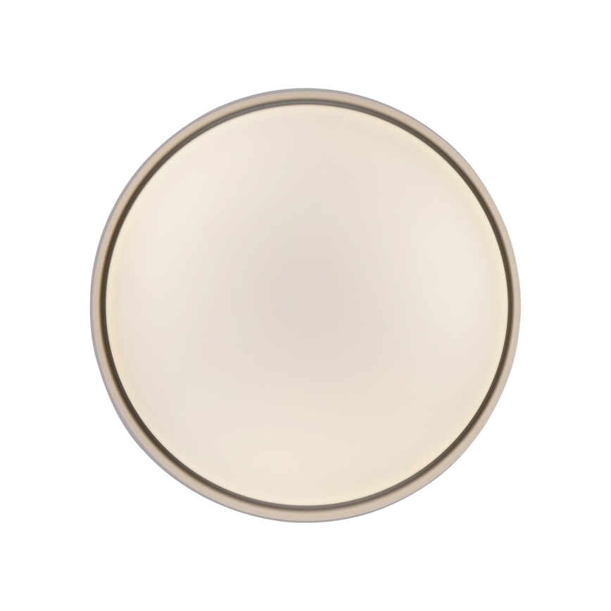 Schöner Wohnen 14593-39 - Plafoniera LED dimmerabile TAVOLI LED/10W/230V 2700-6500K Ø 28,5 cm grigio + telecomando