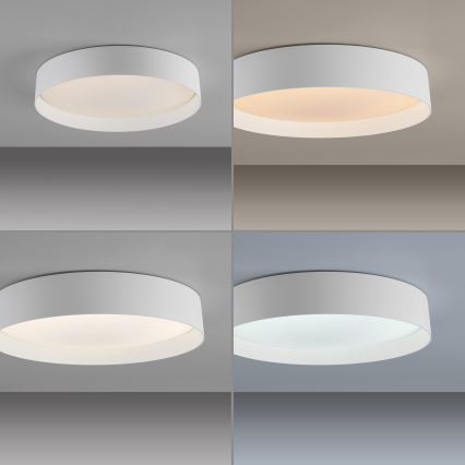 Schöner Wohnen 14594-16 - Plafoniera LED dimmerabile TAVOLI LED/20W/230V 2700-6500K Ø 39 cm bianco con telecomando