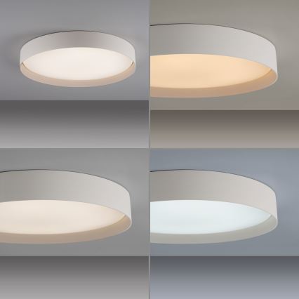 Schöner Wohnen 14595-39 - Plafoniera LED dimmerabile TAVOLI LED/34W/230V 2700-6500K Ø 49 cm grigia + telecomando