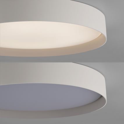 Schöner Wohnen 14595-39 - Plafoniera LED dimmerabile TAVOLI LED/34W/230V 2700-6500K Ø 49 cm grigia + telecomando