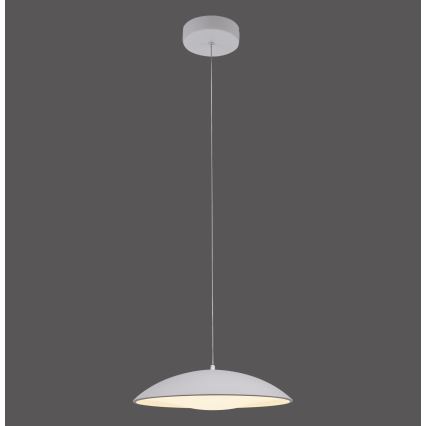 Schöner Wohnen 14606-16 - Lampadario sospeso dimmerabile su cavo LENTE LED/17W/230V Ø 40 cm bianco