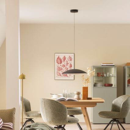 Schöner Wohnen 14606-18 - Lampada a sospensione dimmerabile con cavo LENTE LED/17W/230V Ø 40 cm nero