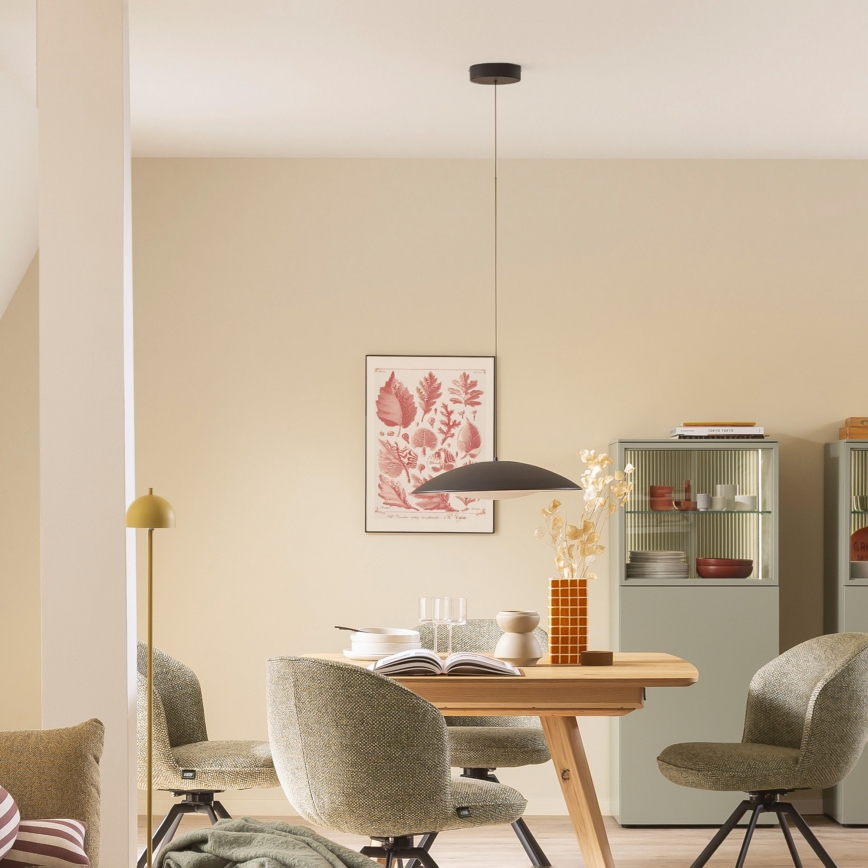 Schöner Wohnen 14606-18 - Lampada a sospensione dimmerabile con cavo LENTE LED/17W/230V Ø 40 cm nero