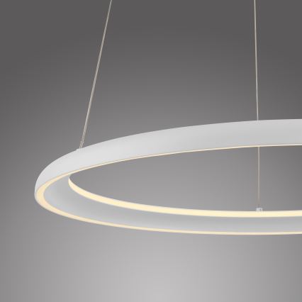 Schöner Wohnen 15570-16 - lampadario sospeso dimmerabile su cavo QUILLO LED/36W/230V Ø 60 cm bianco