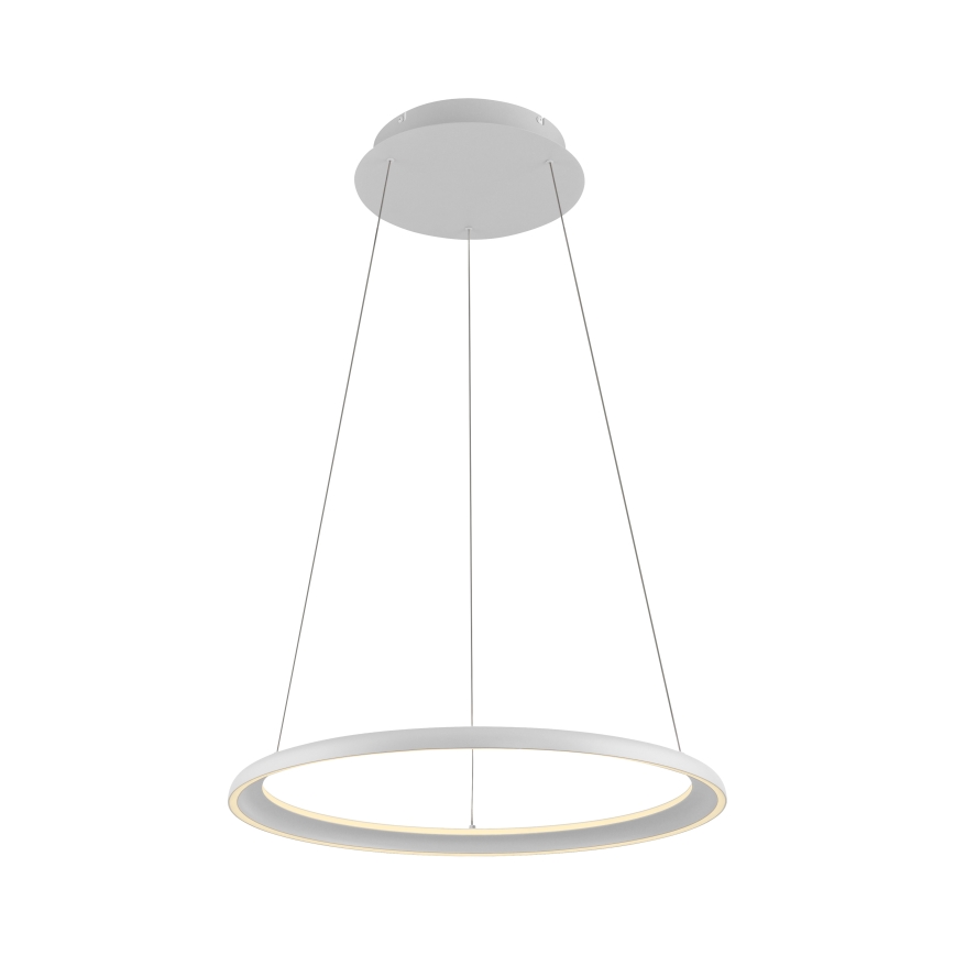 Schöner Wohnen 15570-16 - lampadario sospeso dimmerabile su cavo QUILLO LED/36W/230V Ø 60 cm bianco