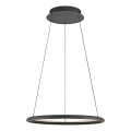 Schöner Wohnen 15570-18 - Lampada sospesa dimmerabile su cavo QUILLO LED/36W/230V Ø 60 cm, nero